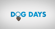 Dog Days Movie Trailer