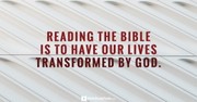 4 Questions You Should Ask When Reading the Bible - Your Daily Bible Verse - July 2