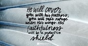 When Trouble Comes (Psalm 91:4) - Your Daily Bible Verse - September 10