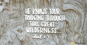 With Us in the Wilderness (Deuteronomy 2:7) - Your Daily Bible Verse - September 11