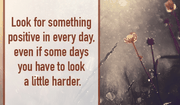 Look for the Positive Every Day