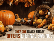 Black Friday: Eternal Savings