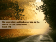 The Word Stands Forever