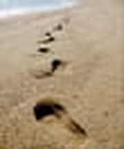 Crosswalk's Top 12 Spiritual Life Features for 2011
