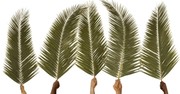 5 Things about Palm Sunday That Remind Us Christ Is King