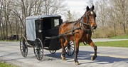 15 Things the Amish Can Teach Us about Family Life