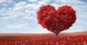 3 Ways to Experience More of God’s Love