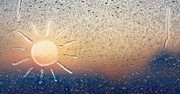 How to Reclaim Your Sanity from Trauma