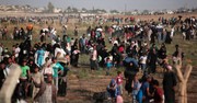 As Refugee Admissions Drop, Fewer Persecuted Christians Admitted to US: World Relief