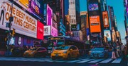 "Keep NYC Trash Free," Signs in New York City Say about Socially Conservative Trump Supporters