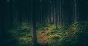Pastor Found after Missing in the Woods for Several Days, Church Rejoices