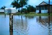 Was Katrina Intelligent Design?