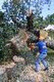 'Gospel at work' as cleanup from Hurricane Isabel begins