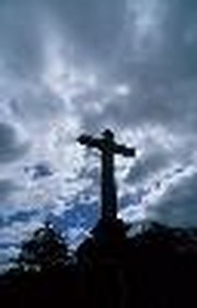 Trusting God to Work Things Together for Good