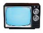 Television and Children --- Rewiring the Brain?