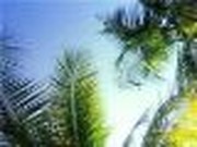 Palm Sundays and Problem Mondays