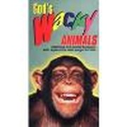 God's Wacky Animals