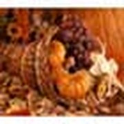 Ready or Not, Here They Come--The Holidays Are upon Us!