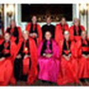 Catholic Cardinals to Meet Sex Abuse Victims 