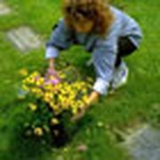 Appreciating Mom Every Day