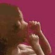 Bush Administration Classifies Fetus as 'Unborn Child'