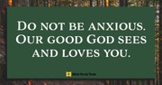 When You Worry, Look to the Birds (Matthew 6:25-26) - Your Daily Bible Verse - April 13