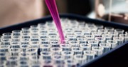 Trump Urged to Maintain Ban on Aborted Fetal Tissue Research during Vaccine Hunt