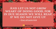 When We Get Too Weary (Galatians 6:9) - Your Daily Bible Verse - June 23