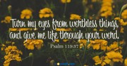 Turn Your Eyes from Worthless Things - Crosswalk Couples Devotional - September 3