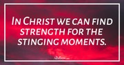 Finding Strength in Stinging Moments - iBelieve Truth: A Devotional for Women - November 4