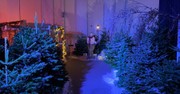 Nottingham Church Creates Narnia Themed Auditorium to Share the Gospel