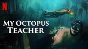 My Octopus Teacher and the God-Shaped Hole in Every Human Heart