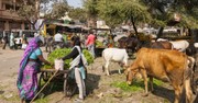 Police in India Allow Hindu Extremist Attack on Churches, then Arrest Christians