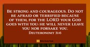 Feel the Fear and Do It Anyway (Deuteronomy 31:6) - Your Daily Bible Verse - March 23