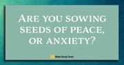 Anxiety or Peace: What We Feed Will Grow - (Philippians 4:6-7) - Your Daily Bible Verse - March 25