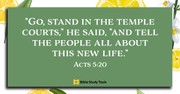 How to Tell People about “This New Life” (Acts 5:18-21) - Your Daily Bible Verse - June 21