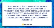 What Makes for A Repentant Heart? (Jonah 4:11) - Your Daily Bible Verse - July 3