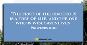 The Key to Living Wisely (Proverbs 11:30) - Your Daily Bible Verse - August 28