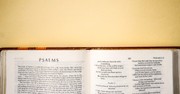 5 Truths You Need to Know about Psalm 119