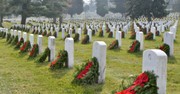 Group Accuses Non-Profit of 'Carpet-Bombing' National Cemeteries by Placing Wreaths across Veterans' Tombstones 