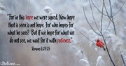 A Prayer for Hope When Life Seems Hopeless - Your Daily Prayer - February 17