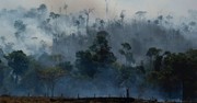 From Young Evangelicals to National Prayer Breakfast: An Urgent Call on Climate Change 