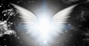 Sheltered in His Wings - Greg Laurie Devotion - August 17, 2026