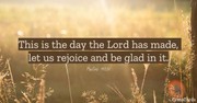 Why Did God Give Us the Psalms? How Can I Start Praying the Psalms?