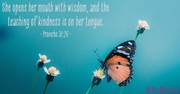 A Prayer for Kindness - Your Daily Prayer - November 12
