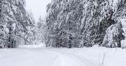 Helicopter Passes over What Looks Like a Rock Buried in the Snow until Pilot Spots a Hand