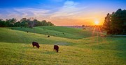 Woman Offers Homeless Man a Job on Her Farm in Stunning Example of God's Love, Compassion