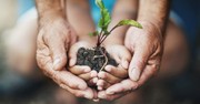 Can You See the Small Beginnings? - iBelieve Truth: A Devotional for Women - June 3, 2025