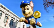 Paw Patrol Spinoff Introduces Non-Binary Character