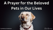 A Prayer for the Beloved Pets in Our Lives